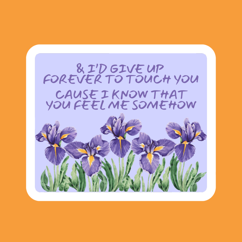 Iris Lyrics - Vinyl Sticker