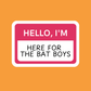 Here for Bat Boys - Vinyl Sticker