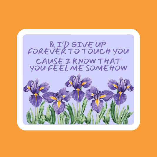 Iris Lyrics - Vinyl Sticker